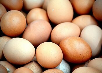 Guscio dell'uovo: formazione-chimicamo