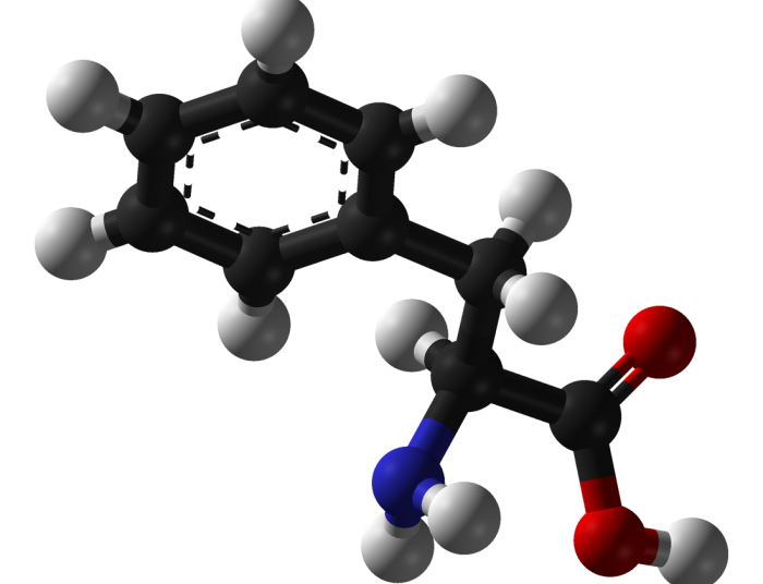 fenilalanina-chimicamo