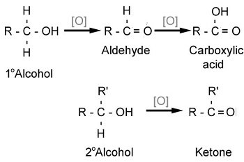 Image result for aldeide to acid