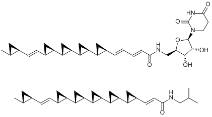 fr900848-e-U106305