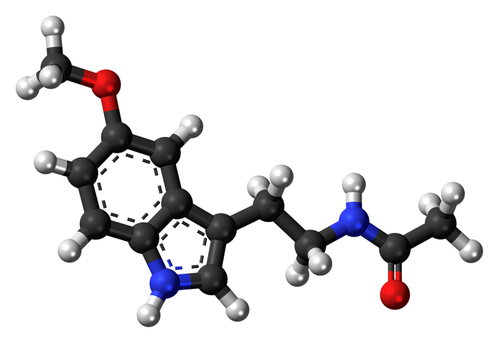 Melatonina- chimicamo