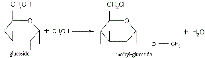 metil glucoside
