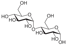 struttura maltosio-chimicamo