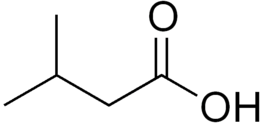 acido 3-metilbutanoico-chimicamo