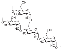 struttura amilopectina-chimicamo