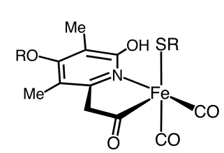[Fe]idrogenasi