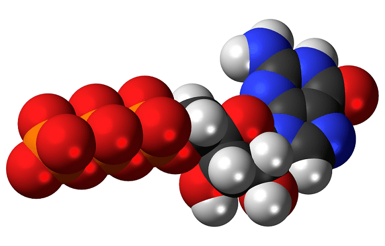 Guanosintrifosfato-chimicamo