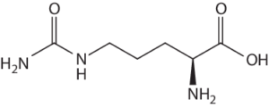 struttura citrullina-chimicamo
