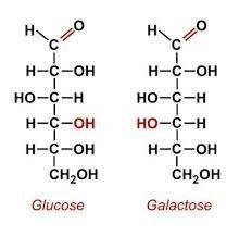 glucosio e galattosio