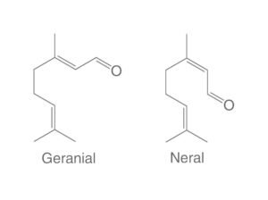 isomeri del citrale