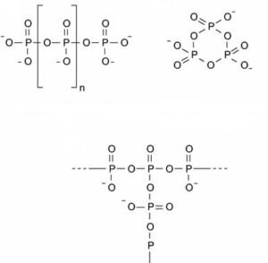 polifosfato ramificato e ciclico