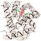 struttura terziaria folding e denaturazione delle proteine