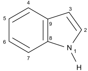 struttura indolo