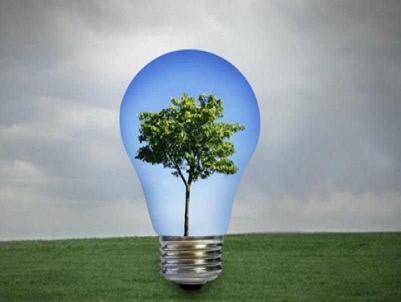 bioenergia
