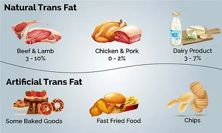 Acidi grassi trans naturali e industriali Acidi grassi trans naturali e industriali
