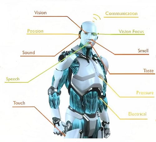funzionamento dei robot umanoidi