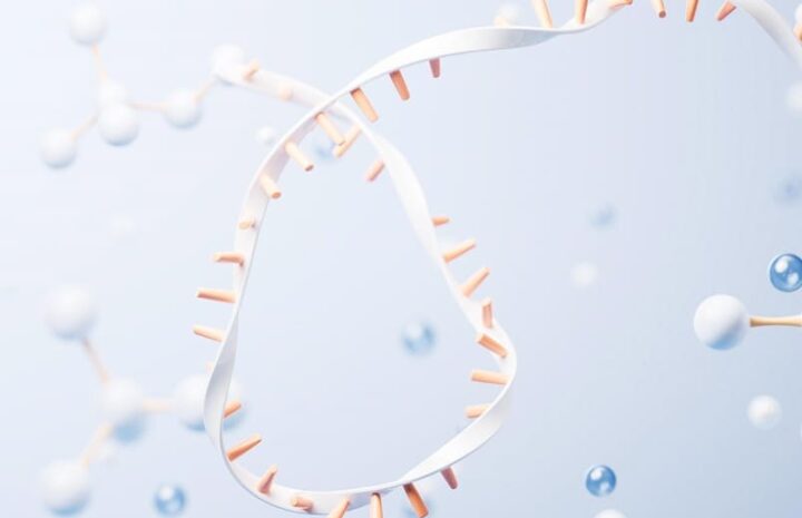 RNA circolari