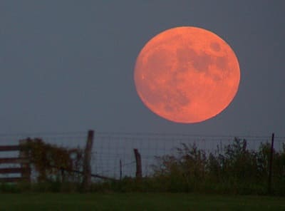 colore della Luna del raccolto