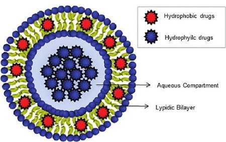 drug delivery