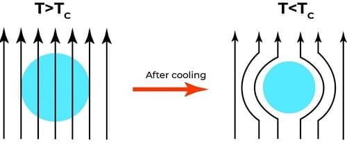 linee del campo magnetico
