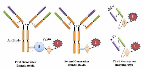 tipi di immunotossine